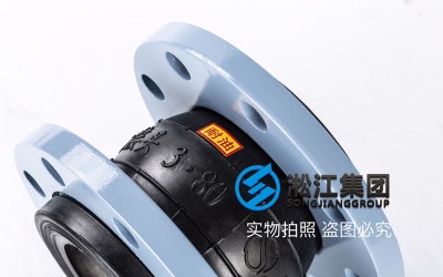 自动化生产线建设项目用法兰耐油橡胶接头