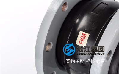 辽阳市辽阳县DN200*100橡胶接头/橡胶避震喉